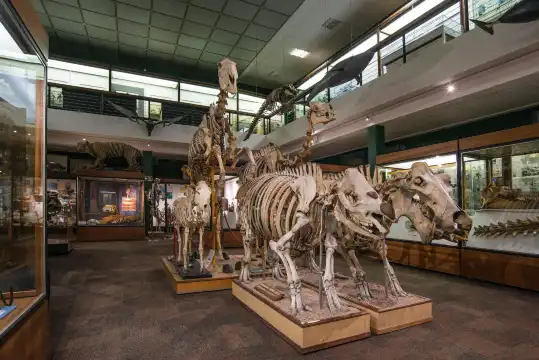 鄰近University of Aberdeen Zoology Museum的酒店