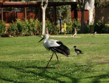 Botanical and Zoological Garden Nahariya