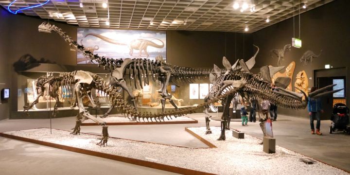 LWL-Museum für Naturkunde mit Planetarium