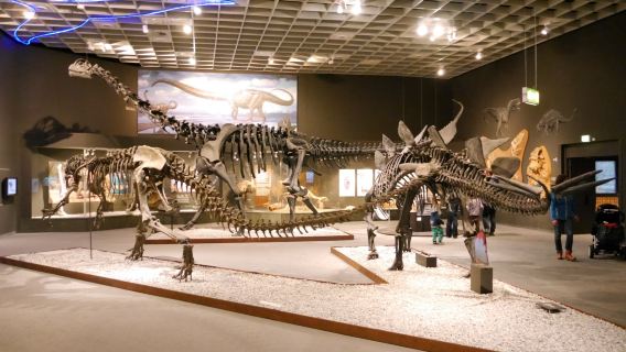LWL Museum of Natural History with Planetarium
