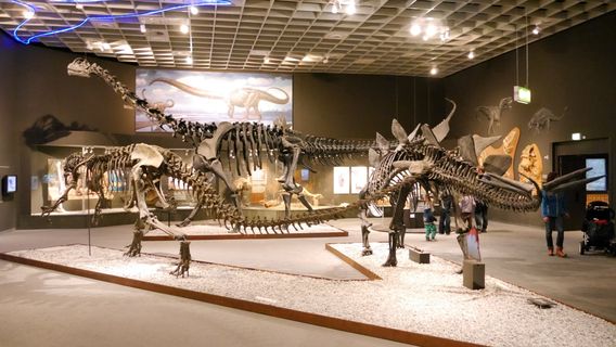 LWL Museum of Natural History with Planetarium