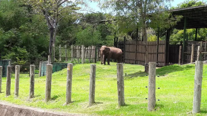 2_Parque Zoobotanico Arruda Camara