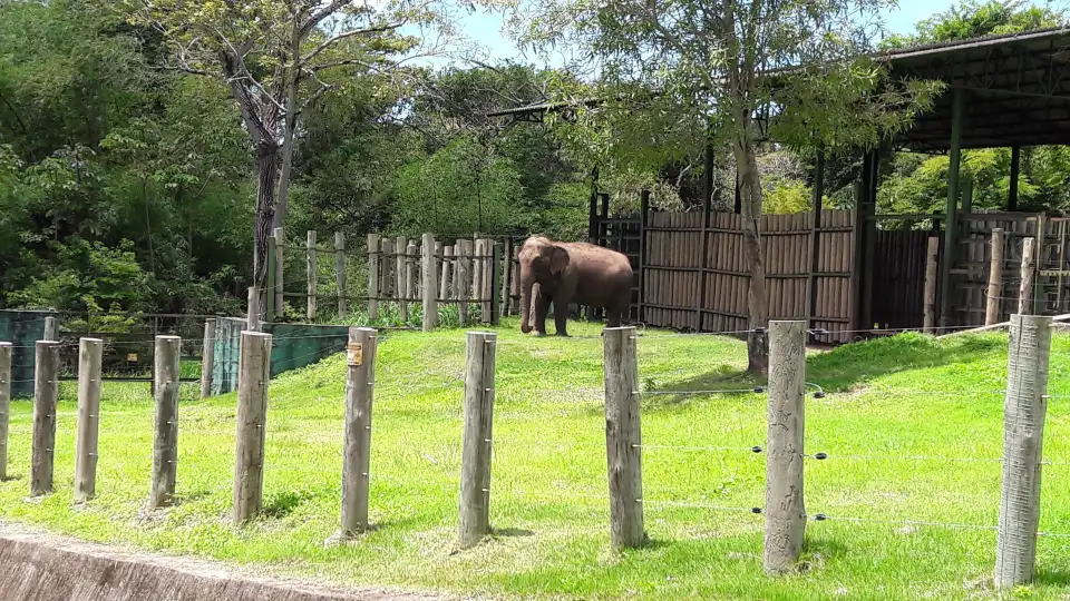 2_Parque Zoobotanico Arruda Camara