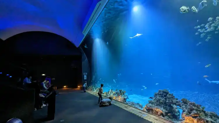 Hotels in der Nähe von Tropen-Aquarium Hagenbeck