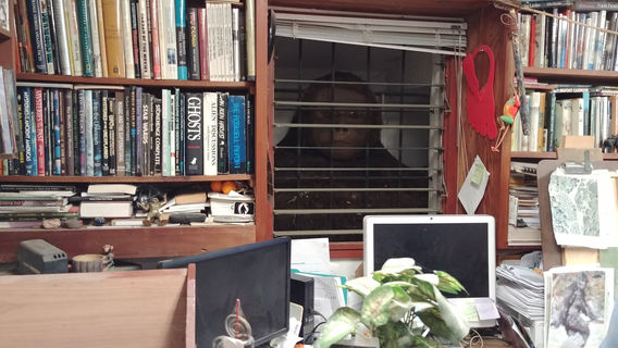 Bigfoot Discovery Museum