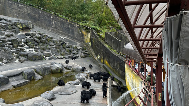 Okuhida Bear's Ranch