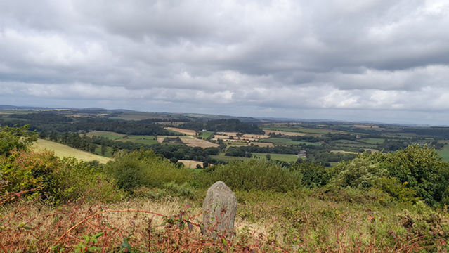 Michael Collins Centre Museum