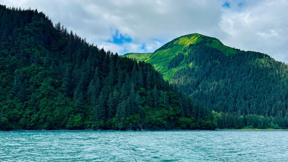 Alaska Saltwater Charters