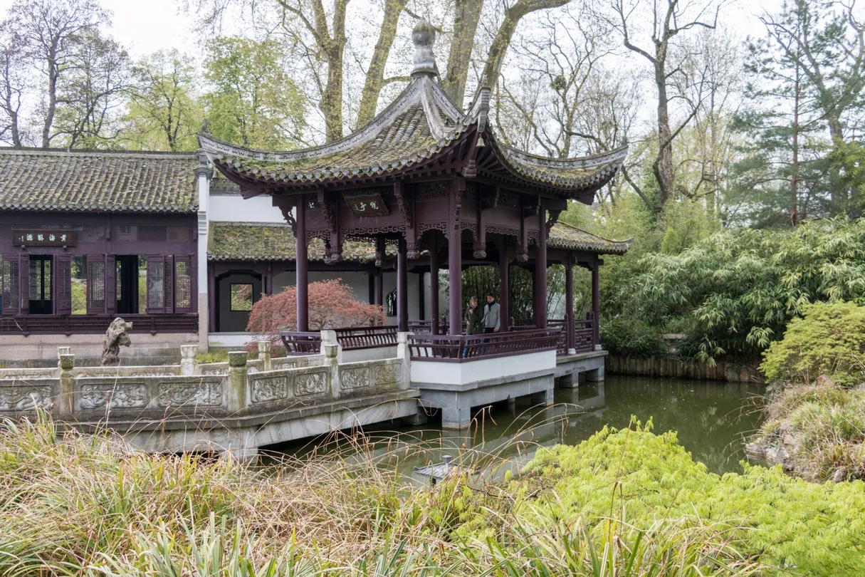 4_中國花園