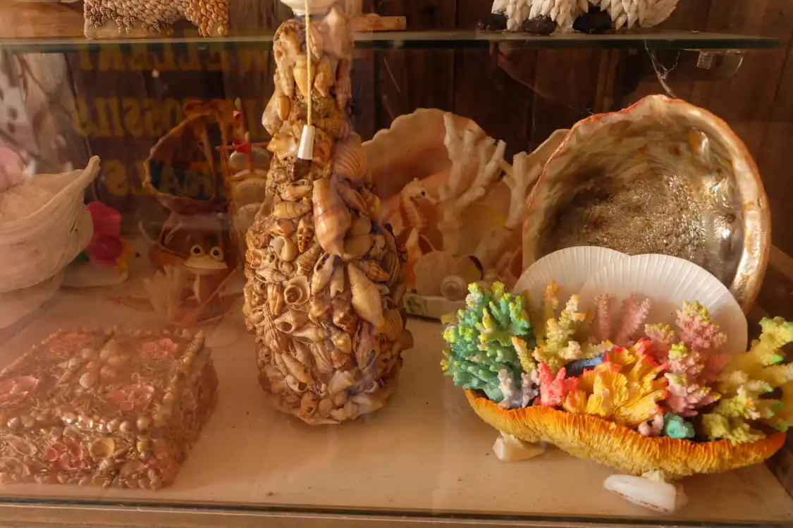 Hotels near Museum - Treasures from the Deep