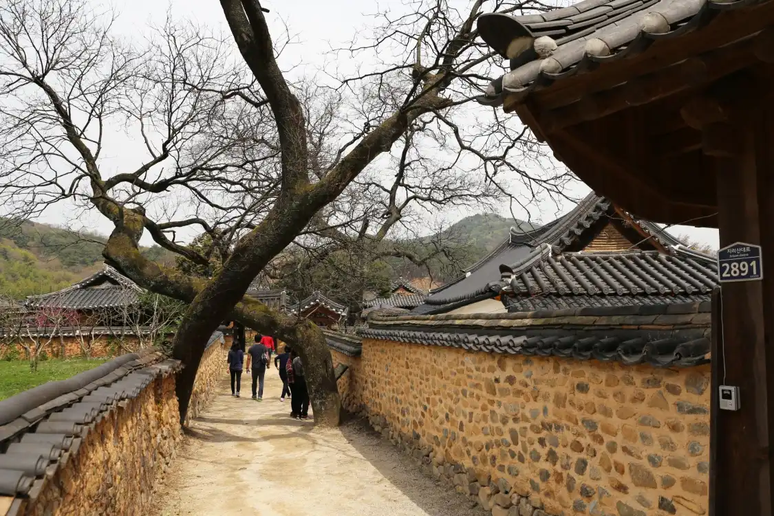 Hotels near Namsa Yedamchon Village
