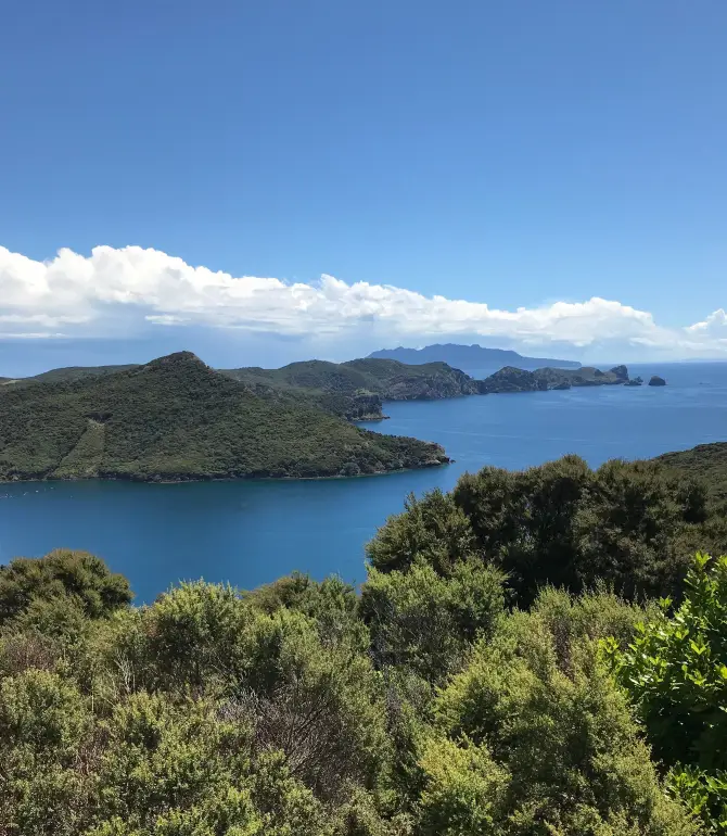 Great Barrier Island