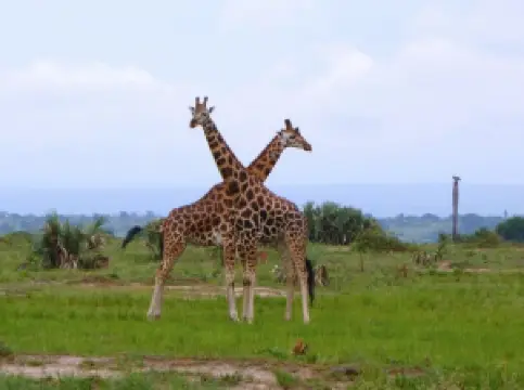 基代波河谷國家公園