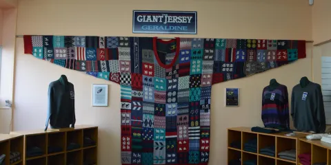The Giant Jersey