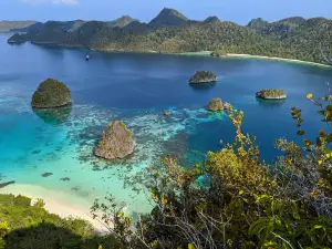 Wajag Island