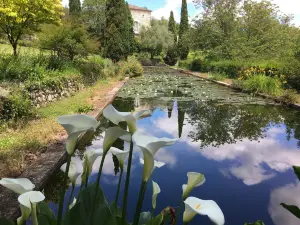 The Gardens of Sardy