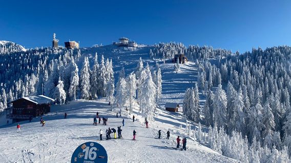Brașov