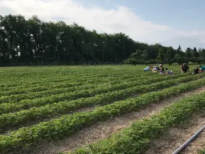 Monroe's Orchard and Farm Market