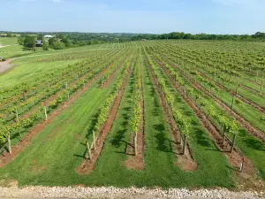 Lovers Leap Vineyards and Winery