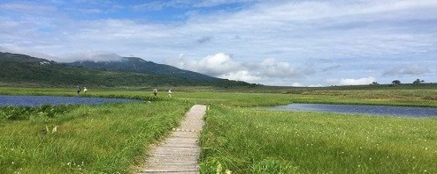 Uryunuma Moor