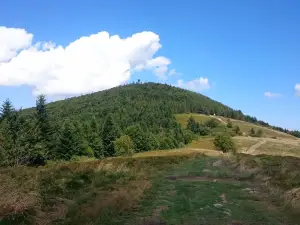 Mogielica Peak