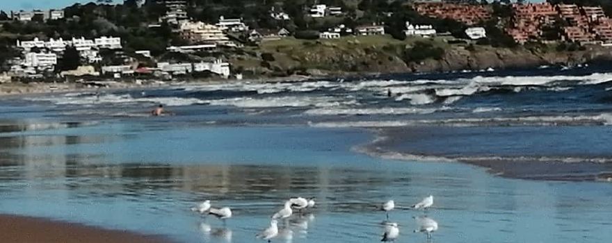 Playa Solanas