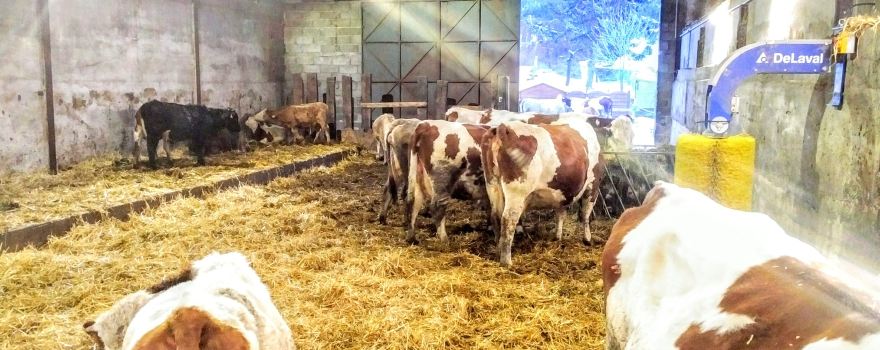 La Ferme du Rialet