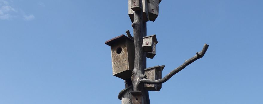 Plateliai