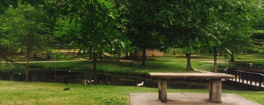 Knupple Park