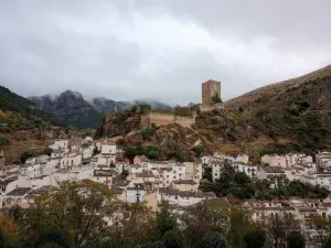 Castillo de la Yedra