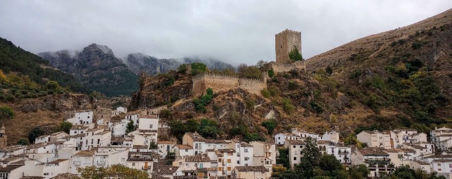 Castillo de la Yedra