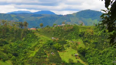 San José de Isnos