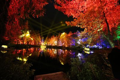 The Enchanted Forest, Pitlochry