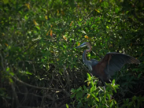 Gunjur Village Museum
