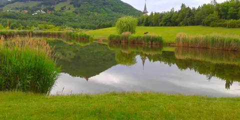 Church of the Assumption of the Virgin Mary