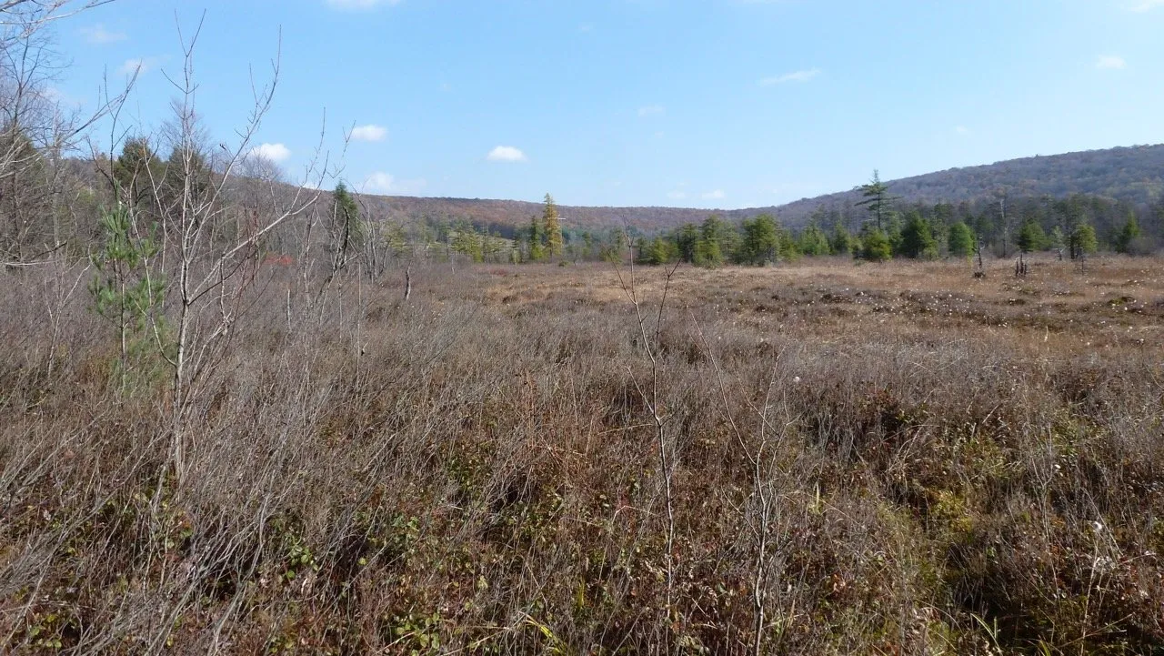 4_Cranesville Swamp Nature Preserve