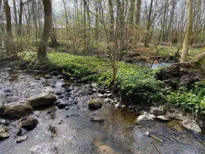 Rovarekulan