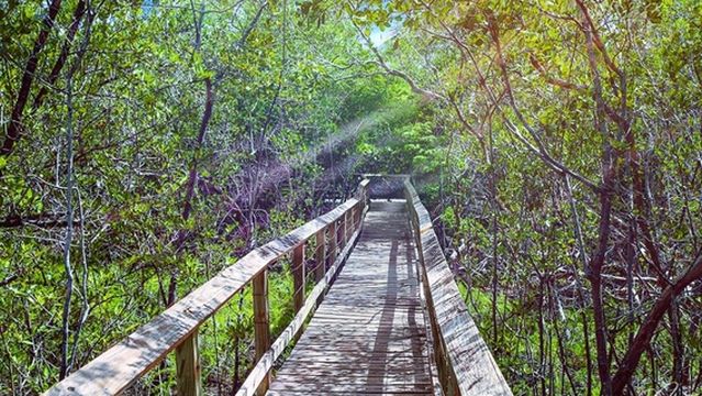 Reserva Natural Cabezas de San Juan