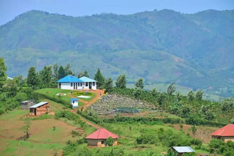 Kinkiizi