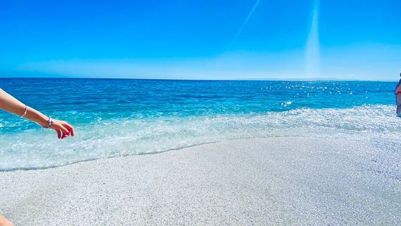 Ilicinea