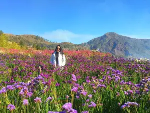 Northern Blossom Flower Farm