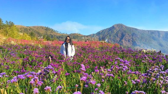 Northern Blossom Flower Farm
