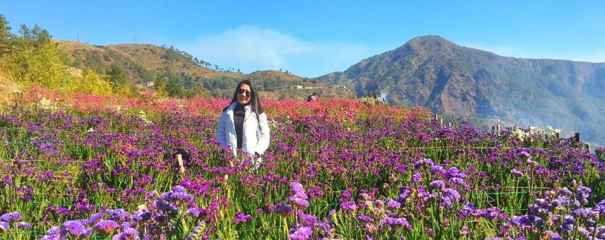 Northern Blossom Flower Farm