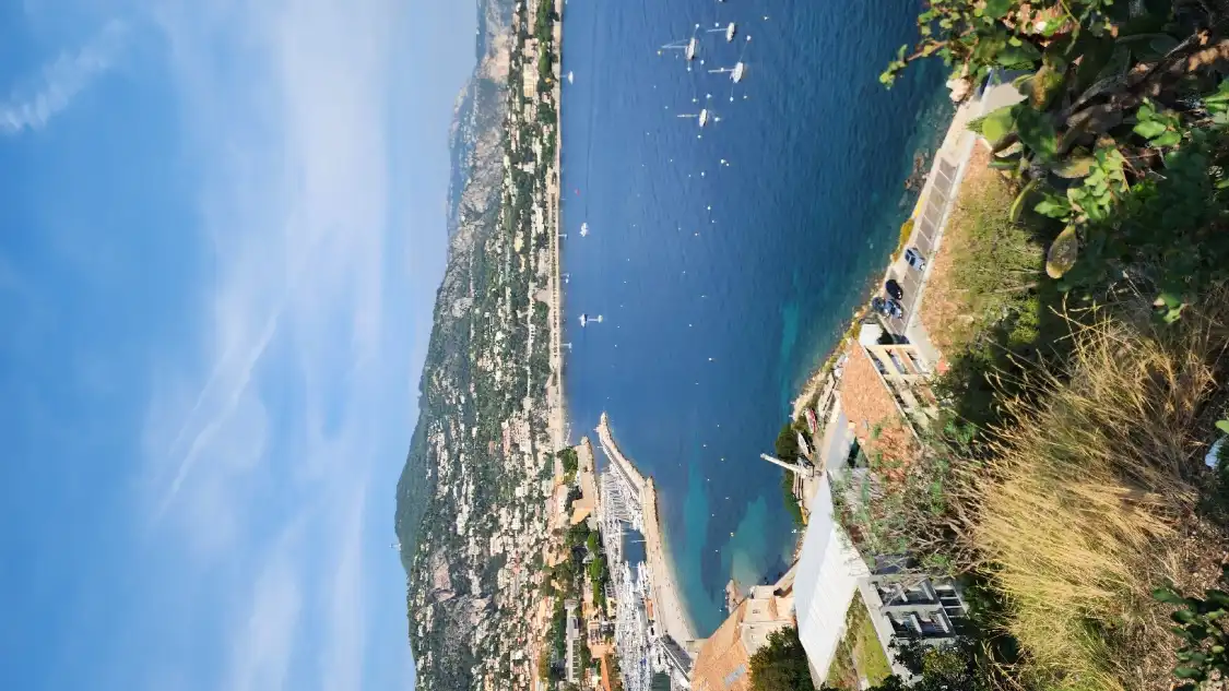 Hotels near Princess Grace Memorial