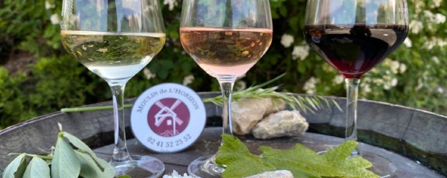 Domaine du Moulin de L'horizon