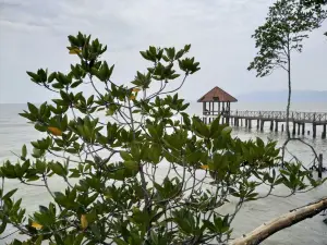 หาดทรายดำ