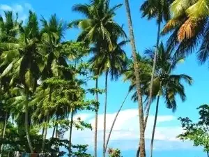 Lae Golf Course