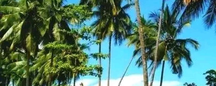 Lae Golf Course