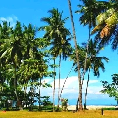 Lae Golf Course