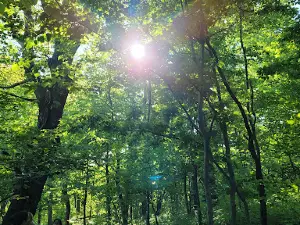 Humpback Rocks